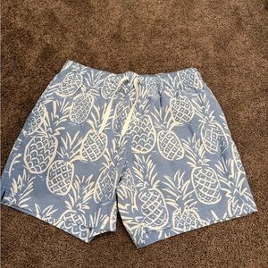 Chubbies Blue Pineapple Print Swim Shorts